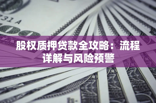 济南股权质押贷款全攻略：流程详解与风险预警