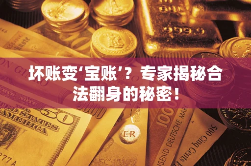 济南坏账变‘宝账’？专家揭秘合法翻身的秘密！