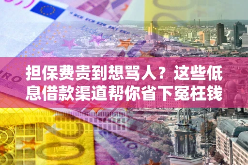 济南担保费贵到想骂人？这些低息借款渠道帮你省下冤枉钱